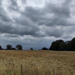 dem Regen entgegen - kurz vor Vordingborg