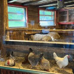 Sogar der Tierstall ist ins Haus integriert.