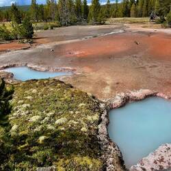 Paint Pots