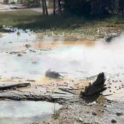 Minute Geyser