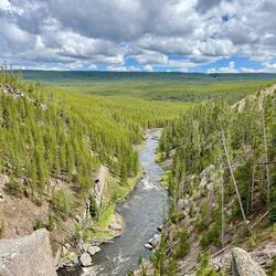Gibbon River