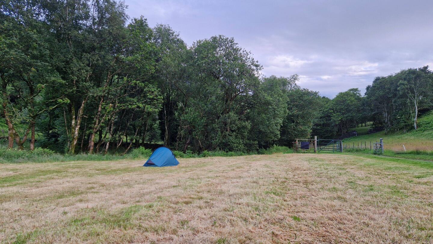 My pitch on Pant y Cae farm