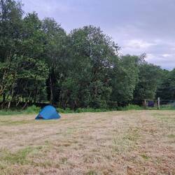 My pitch on Pant y Cae farm