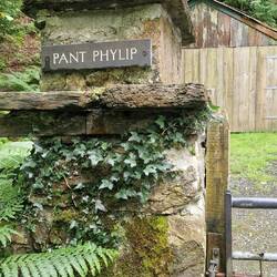 Entrance gate to Pant Phylip farm track