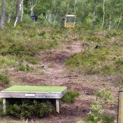 Im Sumpfgebiet gibt es ein Discgolf- Parcours??? Wissen sie nicht um die Mücken?