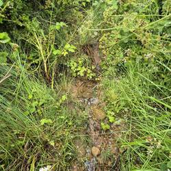 Der Weg im Fluss