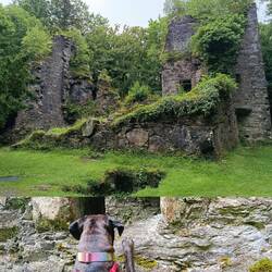 King Arthur ist ausgeflogen