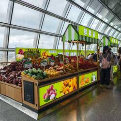 Guangxi Nanning airport 南宁机场