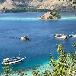 Indonesia: Komodo Park