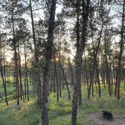 Sun setting in Red Shale campground last night.