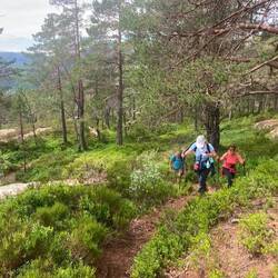 Wanderung zum Ørnenapen