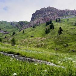 Sheep on the slopes of a mountain ... driving in the Dolomiti — on the way to Colle Santa Lucia.