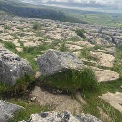Limestone pavement