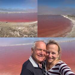 PINK BEACHES