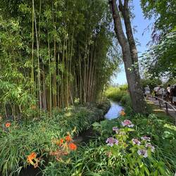 Der japanische Garten auf dem Anwesen