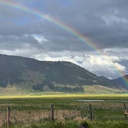 A burst of vibrant colors.