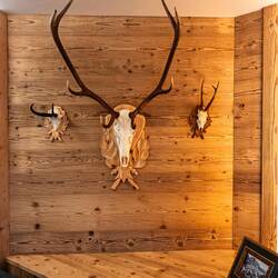 Our apartment @ Cesa dele Angele is named BEC (deer) — Colle Santa Lucia, Italy.