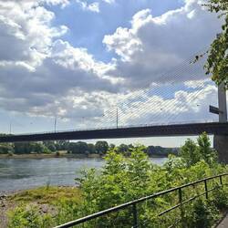 Die jetzt berühmt berüchtigte Bonner Nordbrücke!!