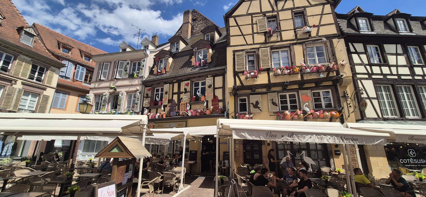 in Colmar