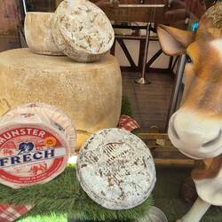 Käse sehr gut gereift...