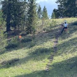 😅 Okay… this hill won.