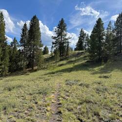 Steep downhill