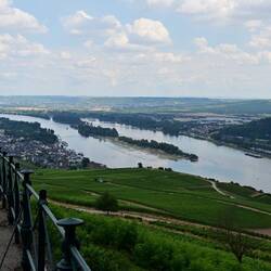 The Rhine