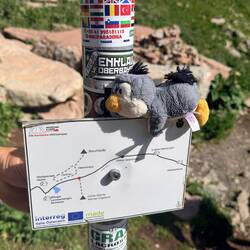 Pingu war fleißig: Der nächste Enklavensticker hat seinen Platz gefunden