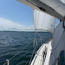 Einfach segeln