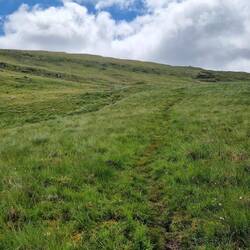 Boggy route on my way up to ridge line