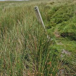 A route marking post in the middle of nowhere. These are a rare but welcome sight.