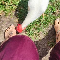 Emma holt ihre Haferflocken ab