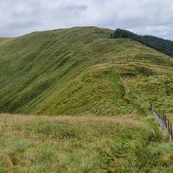 View east along the ridge. Much of the hike was the ridge like this with views either side.