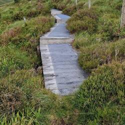 Duck boards across bog atop Craig Portas. These are seen rarely.