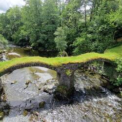 16th century Pont Minllyn packhorse bridge over the Afon Dovey in Dinas Mawddwy