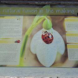 There is even a section dedicated to natural burials...and no oraments/fake flowers etc allowed