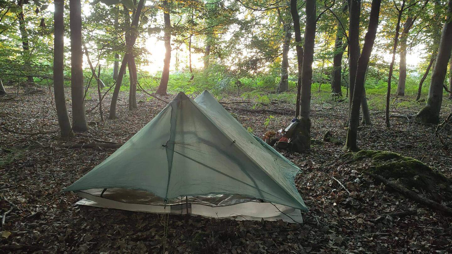 Sonnenaufgang im Wald 🌞