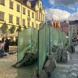 Springbrunnen Rynek