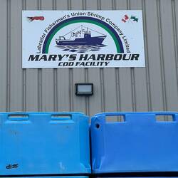 After the lobster season comes the cod season.