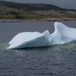 And a stranded bergy bit near by.