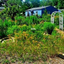 Bob's und Lisa's Garten