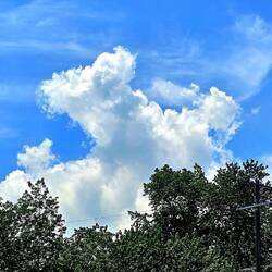 Ein Wolkentier