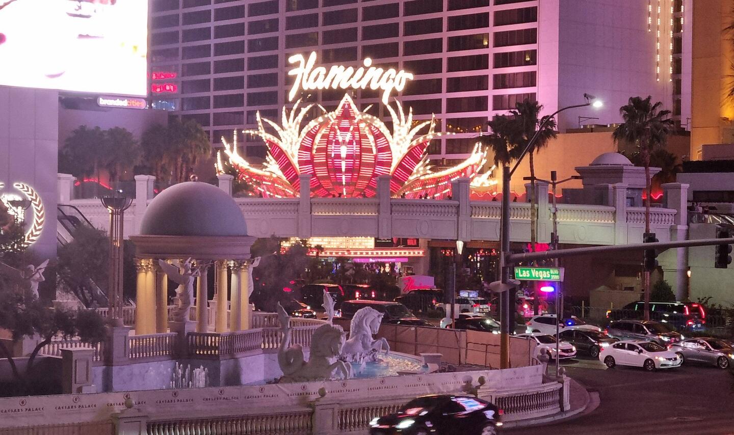 Flamingo, where we stayed