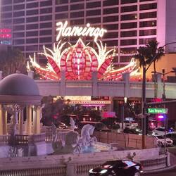 Flamingo, where we stayed