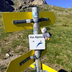 Via alpina Schilder finden sich hier auch