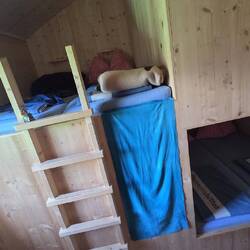 Unser heutiges Zimmer - da schlafen wir bestimmt besser 🤩 Pingu ist auch schon hoch geklettert