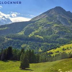 den Ösis höchster Gipfel- den lassen 'se sich gut was kosten 🫨