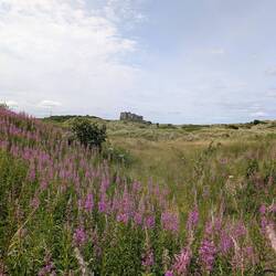 Schnell noch ein Halt beim Bamburgh Castle