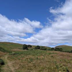 Northumberland National Park - sanfte, grüne Hügel.