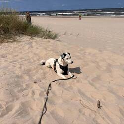 Strand in Swinemünde
